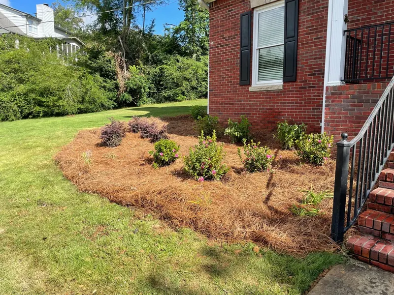 Fresh pine straw installed in a landscape bed beside a home in Trussville, AL